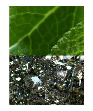 Oriflame North For Men Sensitive Protect Hair & Body Wash Gel - Buy Online on GoSupps.com