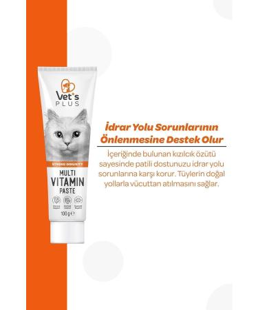 Vet's Plus Multivitamin Malt Paste 100gr (IMMUNE SYSTEM SUPPORTER) - Buy Online on GoSupps.com