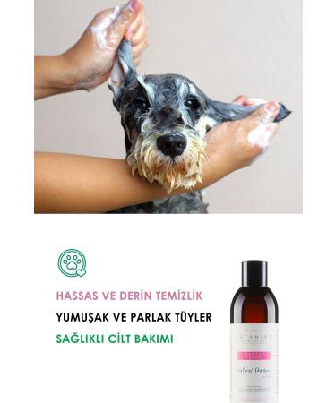 Botanivo Sensitive Shampoo for Dogs Set of 2 | Soft & Shiny Fur | Organic Content | 2x250 ml - Buy Online on GoSupps.com