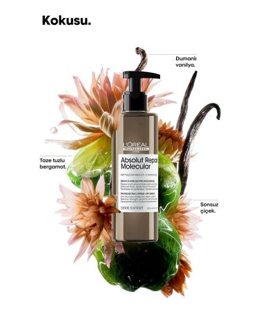 L'Oreal Paris Serie Expert Absolut Repair Molecular Serum Rinse for All Damaged Hair - Buy Online on GoSupps.com