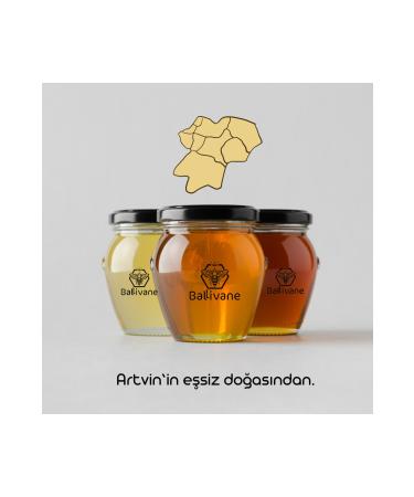 Ballivane Artvin-filtered Karakovan Honey 500g. New Season  - Buy Online on GoSupps.com