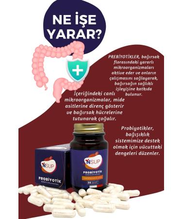 NSUP Probiotic (microorganism) 30 Capsules - Buy Online on GoSupps.com