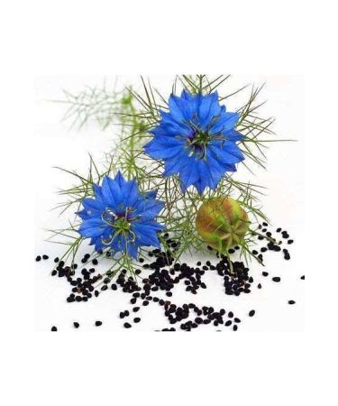 MEM Medical Pharmacy Market Black Cumin Cream for Pain 100 ml 4 Pieces - Buy Online on GoSupps.com