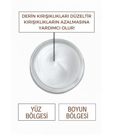 Eslbeauty Anti - Aging Rejuvenating Anti-Aging and Anti-Wrinkle Cream 50 ml - Buy Online on GoSupps.com