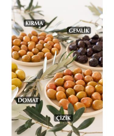 kozoliv Natural Ayval k Variety Scratched Green Olives 400 gr Glass Jar - Buy Online on GoSupps.com