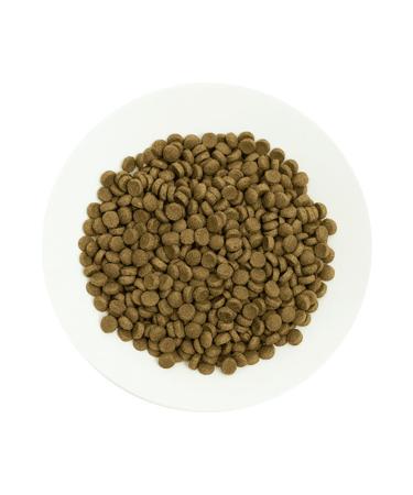 Pro Choice Pro Choice Pro 36 Lamb and Rice Adult Cat Food 2 Kg - Buy Online on GoSupps.com