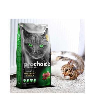 Pro Choice Pro Choice Pro 36 Lamb and Rice Adult Cat Food 2 Kg - Buy Online on GoSupps.com