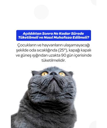 Vet's Plus Fish Oil for Cats and Dogs 200ml (FEATHER HEALTH AND APPETITE SUPPORT) - Buy Online on GoSupps.com