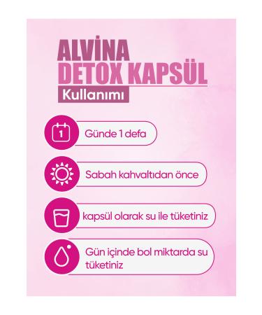 E&G ALV NA DETOX Alvina Detox Capsule Five Pack - Buy Online on GoSupps.com