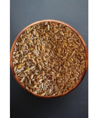 FARMER Wheat Feed for Chicken and Bird 10 Kg - Buy Online on GoSupps.com
