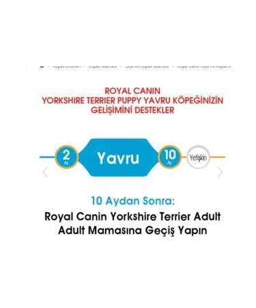 Royal Canin Dog Bhn Yorkshire Terrier Junior Dog Food 1.5 Kg - Buy Online on GoSupps.com
