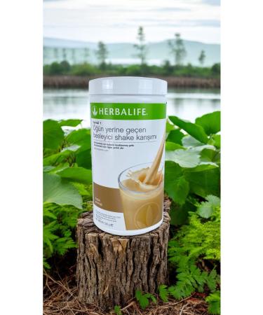 Herbalife Nutritious Natural and Rich Content Hazelnut Flavor 500 gr 1 Piece - Buy Online on GoSupps.com
