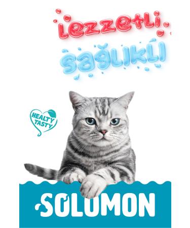 Solomon Sterile Paste 100 gr Vitamin and Mineral Malt Paste for Sterilized Cats - Buy Online on GoSupps.com