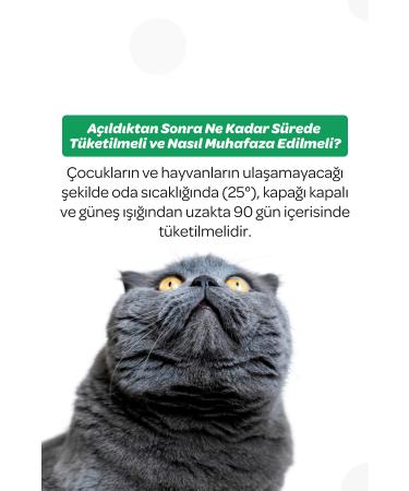 Vet's Plus Immune System Drops 50ml (IMMUNE BOOSTER FOR CATS AND DOGS) - Buy Online on GoSupps.com