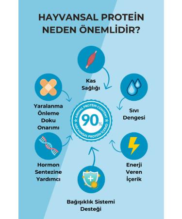 Petline Anchovy Fish Adult Cat Food 3kg (2X1.5KG) - Anchovy - Buy Online on GoSupps.com