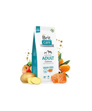Brit Care Grain-Free Salmon and Potato Adult Dog Food 3 Kg