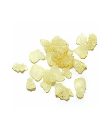 NUTRITION DETECTIVE GUM MASTIC (10 Gr)