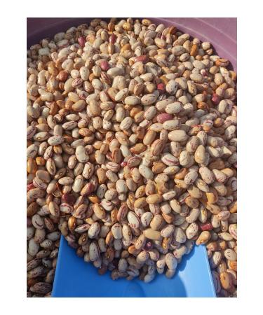 Handmade New Crop Village Kidney Beans 1kg