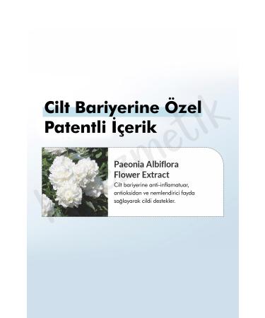 Dr. Althea 147 Barrier Cream - Ceramide Containing Barrier Protective Repairing and Moisturizing Cream - 50ml - Buy Online on GoSupps.com
