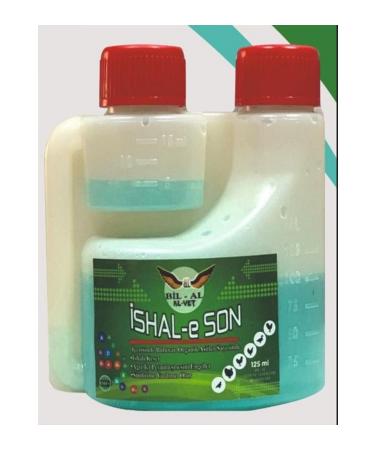 bilal Bil-al -ishal E Son Bird chicken winged animals