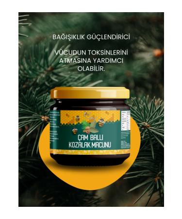 Baltonik Special Pine Cone Paste Mixture with Royal Jelly and Honey - Buy Online on GoSupps.com