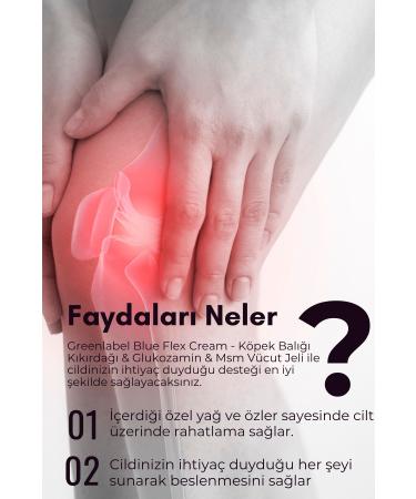 Green Label Blue Flex Cream - Shark Cartilage Glucosamine Glucosamine Msm Body Gel Joint And Muscle 200 Ml. - Buy Online on GoSupps.com