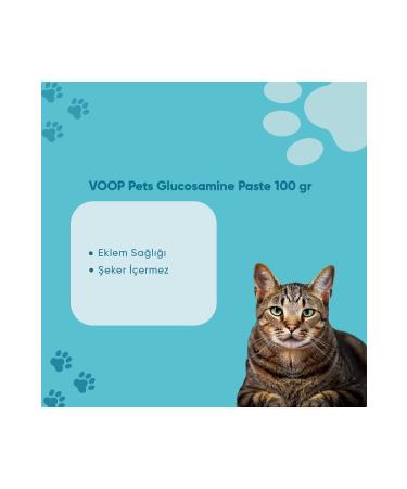 VOOP Pet Glucosamine Paste Cat Joint and Muscle Support | 100 gr - Buy Online on GoSupps.com