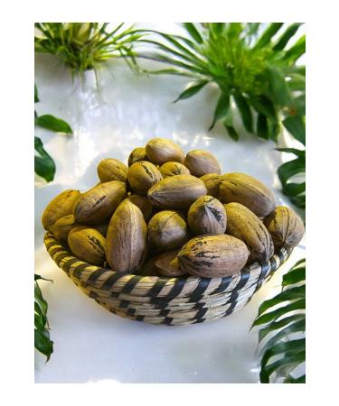 Anamur PECAN NUT 1 KG