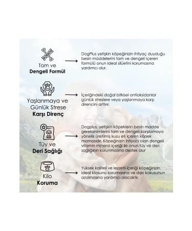 DogPlus Low Grain Hypoallergenic Lamb Meat Rice Adult Dog Food 3 Kg X 2 Pieces - Buy Online on GoSupps.com