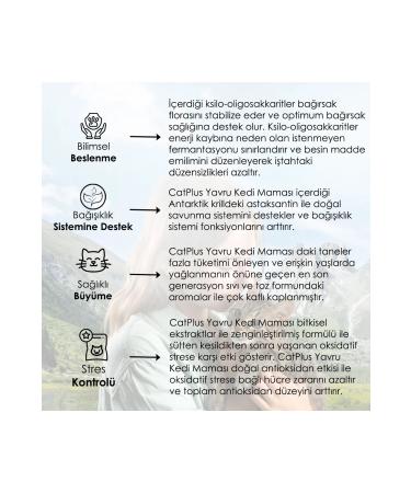 Cat Plus Catplus Chicken Anchovy Kitten Food 1.5 Kg X 3 Pieces - Buy Online on GoSupps.com