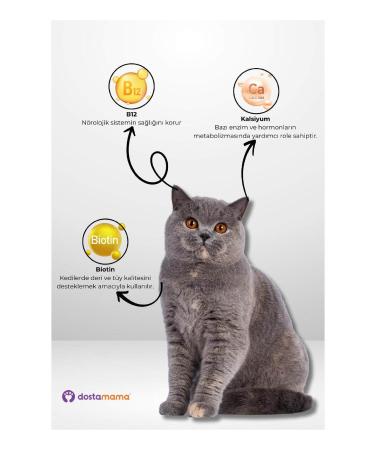 Energy Chicken Adult Cat Food 1 Kg - 4 Pieces - Buy Online on GoSupps.com
