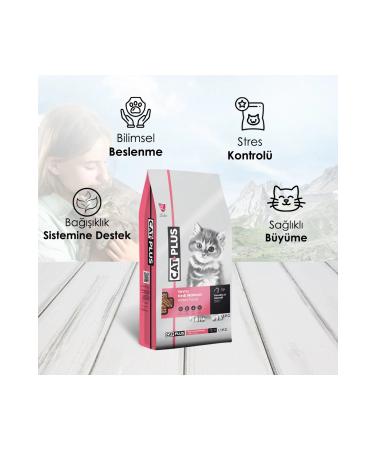 Cat Plus Catplus Chicken Anchovy Kitten Food 1.5 Kg X 3 Pieces - Buy Online on GoSupps.com