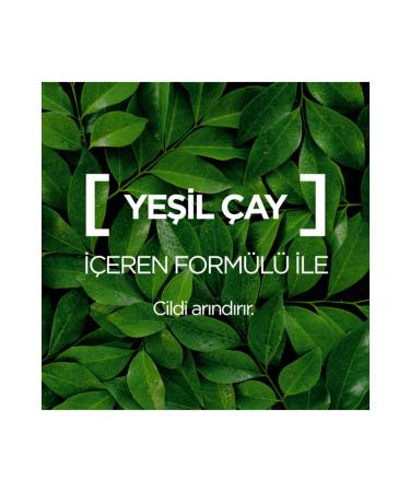 Garnier Botanical Mattifying Antioxidant Moisturising Cream Green Tea 50ml - Buy Online on GoSupps.com