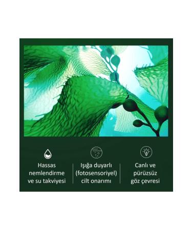 Jomtam Seaweed Moisturizing Relaxing Collagen Eye Masks 80 gr - Buy Online on GoSupps.com