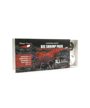 ShrimpsForever Caridina Sp Starter Pack