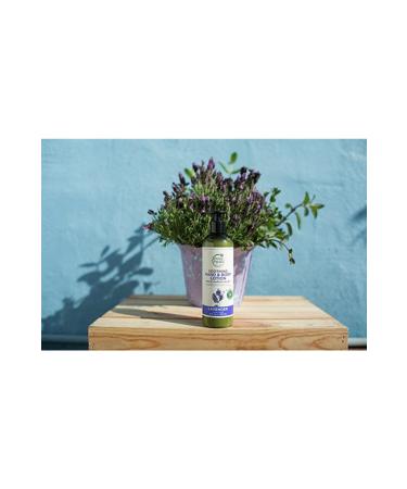 Petal Fresh Lavender Soothing Hand and Body Lotion 355 ml 713708725136 - Buy Online on GoSupps.com