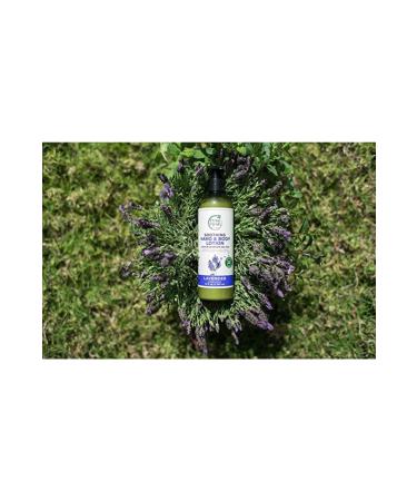 Petal Fresh Lavender Soothing Hand and Body Lotion 355 ml 713708725136 - Buy Online on GoSupps.com