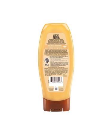 Garnier Whole Blends Honey Repair Conditioner 370ml - Buy Online on GoSupps.com