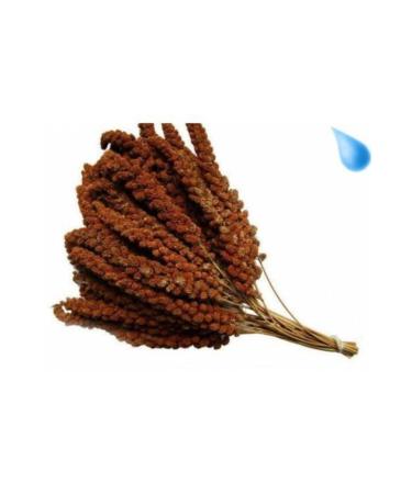 Krax Red Millet 1 Kg