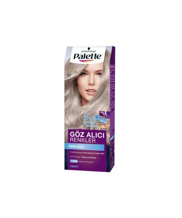 Palette Natural Eye-Catching Colors Hair Dye 12-21 Silver Blonde