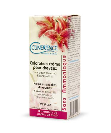 Clinerience Sans Ammoniague R 29 Prune