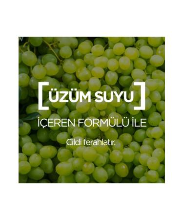 Garnier Refreshing Botanical Make-Up Remover Grape Milk Normal Mixed 200 ml - Buy Online on GoSupps.com