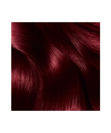 Garnier Striking Colors Intense Dark Red (4.60) Hair Dye - Buy Online on GoSupps.com