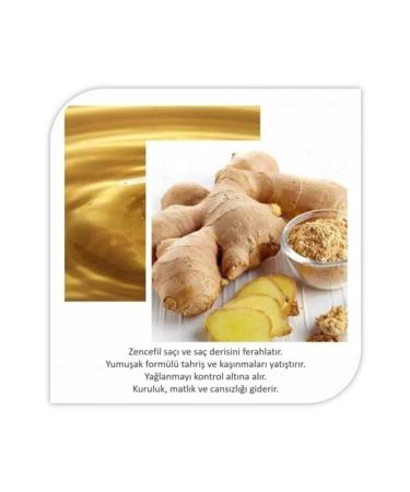 Jomtam Ginger Balancing Repairing Strengthening Hair Mask 400 gr - Buy Online on GoSupps.com