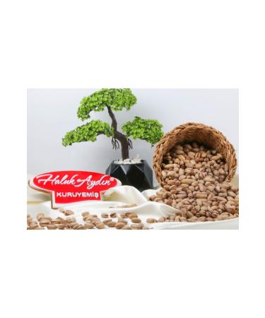 HALUK AYDIN NUTS Pistachio 500 gr - Buy Online on GoSupps.com