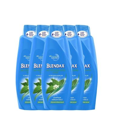 Blendax Nettle Shampoo 550 Ml X5