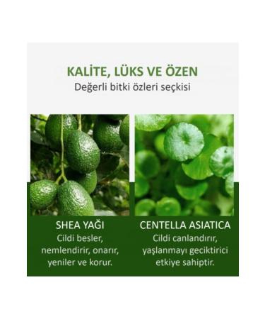 Jomtam Centella Anti-Aging Repairing Moisturizing Herbal Facial Cleanser 100 ml - Buy Online on GoSupps.com