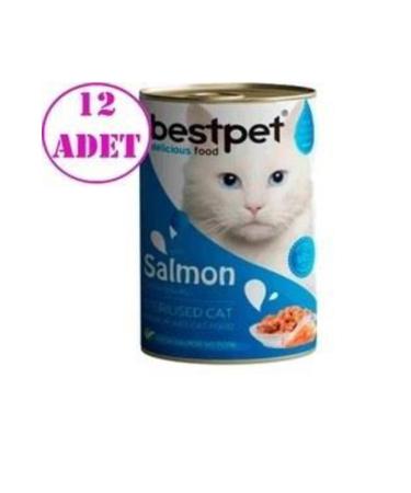 Bestpet 12 Pieces Salmon Jelly Adult Cat Canned Food 400 Gr