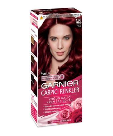 Garnier Striking Colors Intense Dark Red (4.60) Hair Dye