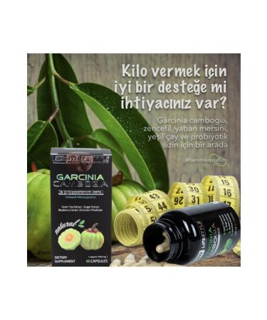 SDMLifeStyle Garcinia cambogia green tea and Bifidobacterium lactis Maintaining Ideal Weight Balanced diet